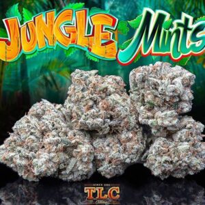 Jungle Boys Jungle Mints 10‑Pack Pre‑Rolls